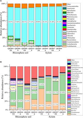 Analysis of changes in bacterial diversity in healthy and bacterial wilt mulberry samples using metagenomic sequencing and culture-dependent approaches